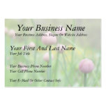 Herb Garden - Chive Buds Business Cards