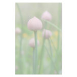 Herb Garden - Chive Buds stationery