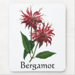 Herb Garden Series - Bergamot Mouse Mats