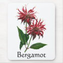 Herb Garden Series - Bergamot mousepads
