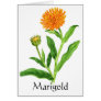 Herb Garden Series - Marigold Card
