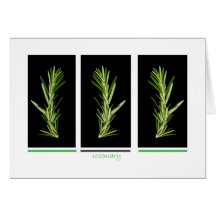herb - rosemary card