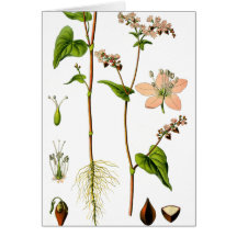 Herbal Pink Flower Card
