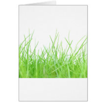 Herbe Cartes De Vœux