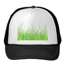 Herbe Casquettes