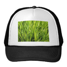 herbe casquettes