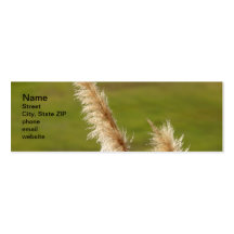 Herbe des pampas cartes de visite professionnelles