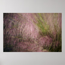 Herbe rose poster