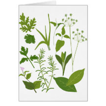 Herbs Greeting Card