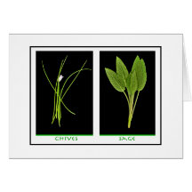 Herbs - Sage & Chives card