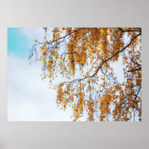 Herbstfarben Plakatdruck
