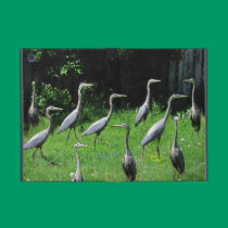Herd of Heron ~ iPad Mini Powis case powis icase