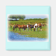 Herd of Horses Fridge Magnets