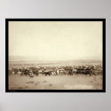 Herding Cattle at Moss Agate SD 1887 posters