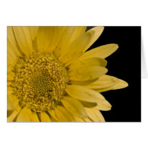 here comes the sun cards