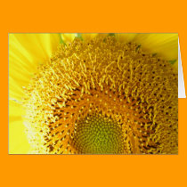 here comes the sun cards