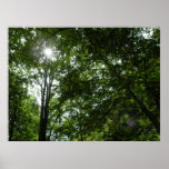 Here Comes the Sun Posters