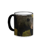 Here Comes Trouble - Bear Mug Close Up