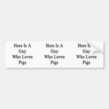 Here Is A Guy Who Loves Pigs Bumper Stickers