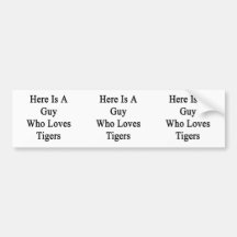 Here Is A Guy Who Loves Tigers Bumper Stickers