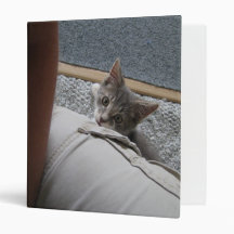 here kitty kitty kitty vinyl binder