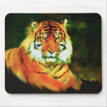 Here Kitty Kitty Mousepads