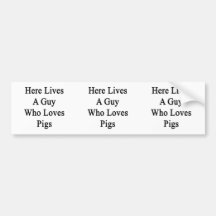 Here Lives A Guy Who Loves Pigs Bumper Stickers