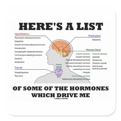 Here's A List Of Some Of The Hormones (Endocrine) Sticker by wordsunwords