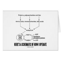 Here's A Schematic Of How I Operate (Catabolism) Card