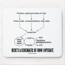 Here's A Schematic Of How I Operate (Catabolism) Mousepads