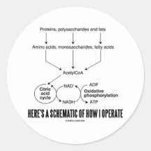 Here's A Schematic Of How I Operate (Catabolism) Sticker