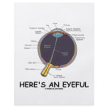 Here's An Eyeful (Eye Anatomy Humor) Flyers