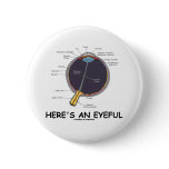 Here's An Eyeful (Eye Anatomy Humour)