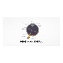 Here's An Eyeful (Eye Anatomy Humour)