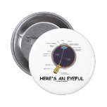 Here's An Eyeful (Eye Anatomy Humour) Pin