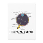 Here's An Eyeful (Eye Anatomy Humour)