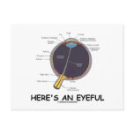 Here's An Eyeful (Eye Anatomy Humour)