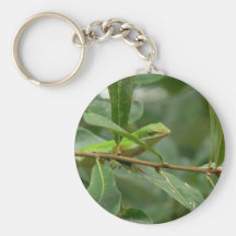 Here's Lizard Looking at You Key Chains