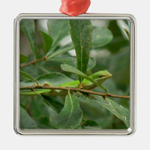 Here's Lizard Looking at You Christmas Tree Ornaments