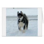 Here's Trouble Greeting Cards