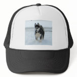 Here's Trouble Hats
