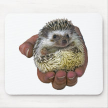 Hérisson Tapis De Souris