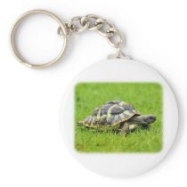 Hermans Tortoise 9W027D-069 Key Chain