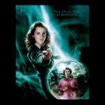 Hermione Granger and Professor Umbridge posters