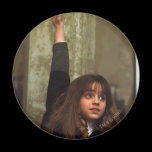 Hermione raises her hand magnets