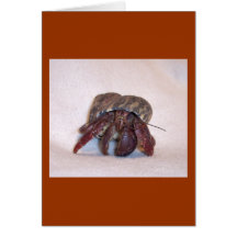 Hermit Crab #2 Greeting Card