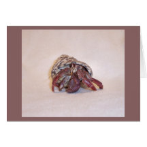 Hermit Crab #5 Cards