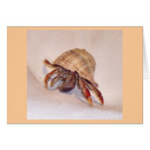 Hermit Crab #7 Card
