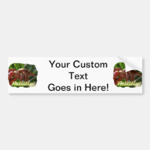 Hermit Crab and Help text , funny animal design Bumper Sticker