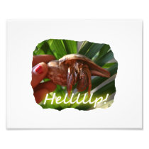 Hermit Crab and Help text , funny animal design